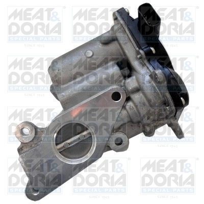 EGR Valve